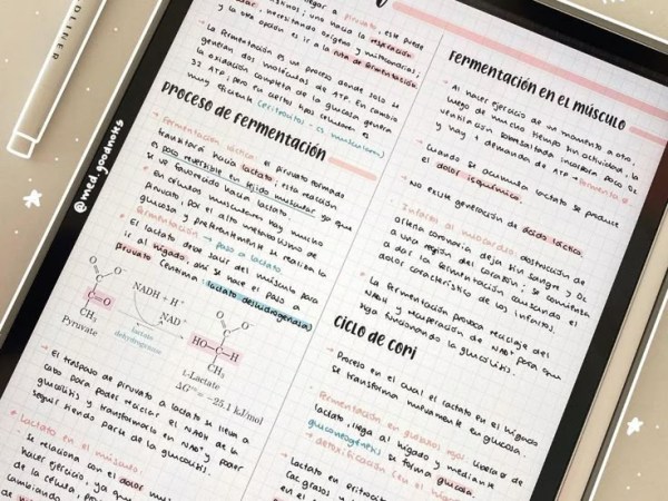 Why Some Students Take Digital&nbsp;Notes